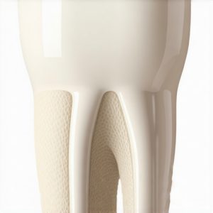 Why Your 2026 Dental Crown Needs a Bio-Mineral Interface