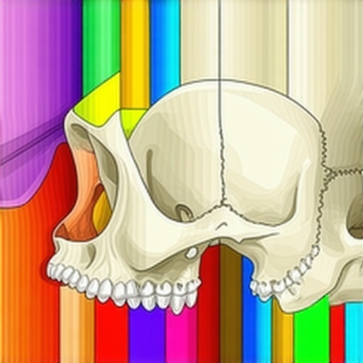 Diagram showing how maxillary sinus inflammation puts pressure on upper tooth nerves.