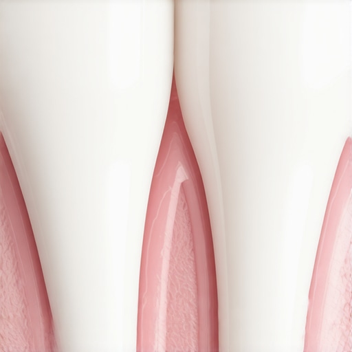 Close-up of a dental crown and healthy gum margin illustrating proper oral hygiene for restorations.